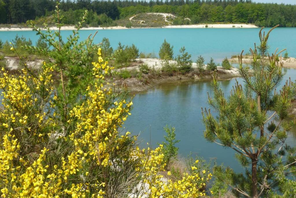 Sfeervolle Villa In Gasselte Drenthe Bij Hemelriek المظهر الخارجي الصورة