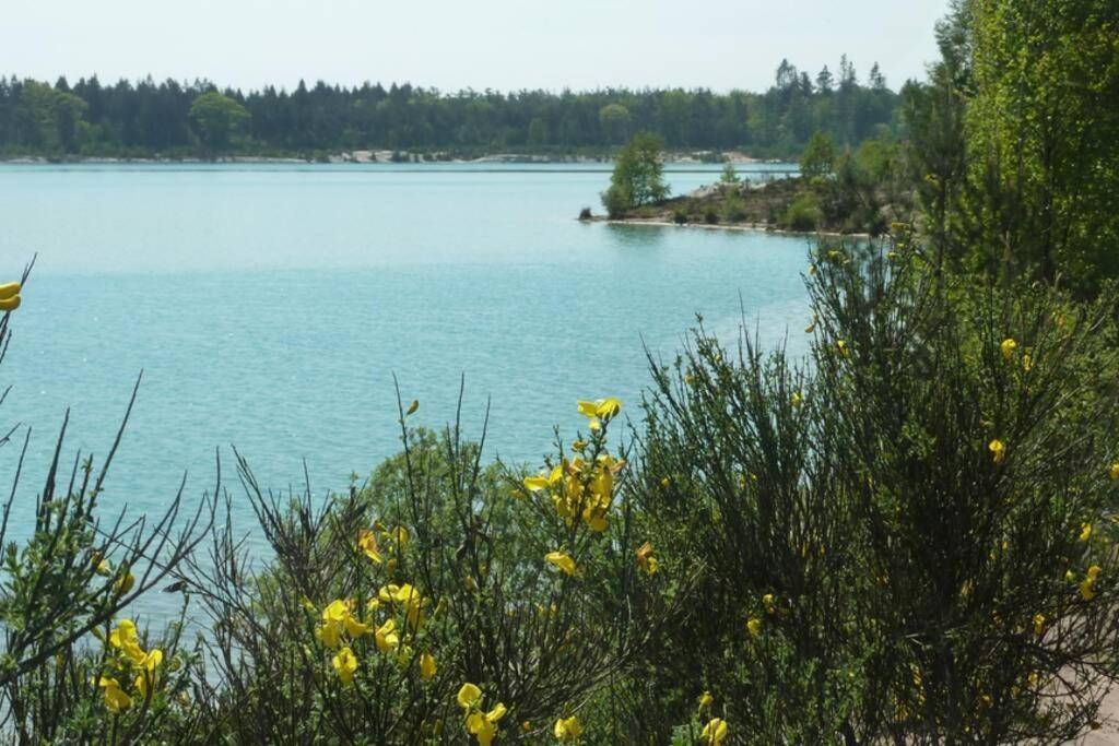 Sfeervolle Villa In Gasselte Drenthe Bij Hemelriek المظهر الخارجي الصورة