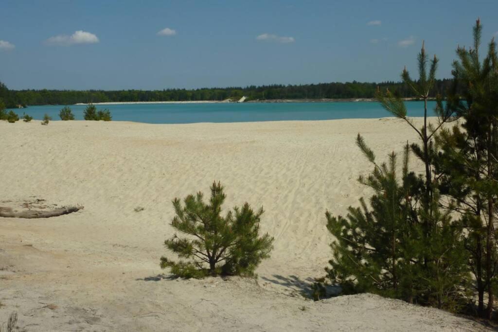 Sfeervolle Villa In Gasselte Drenthe Bij Hemelriek المظهر الخارجي الصورة