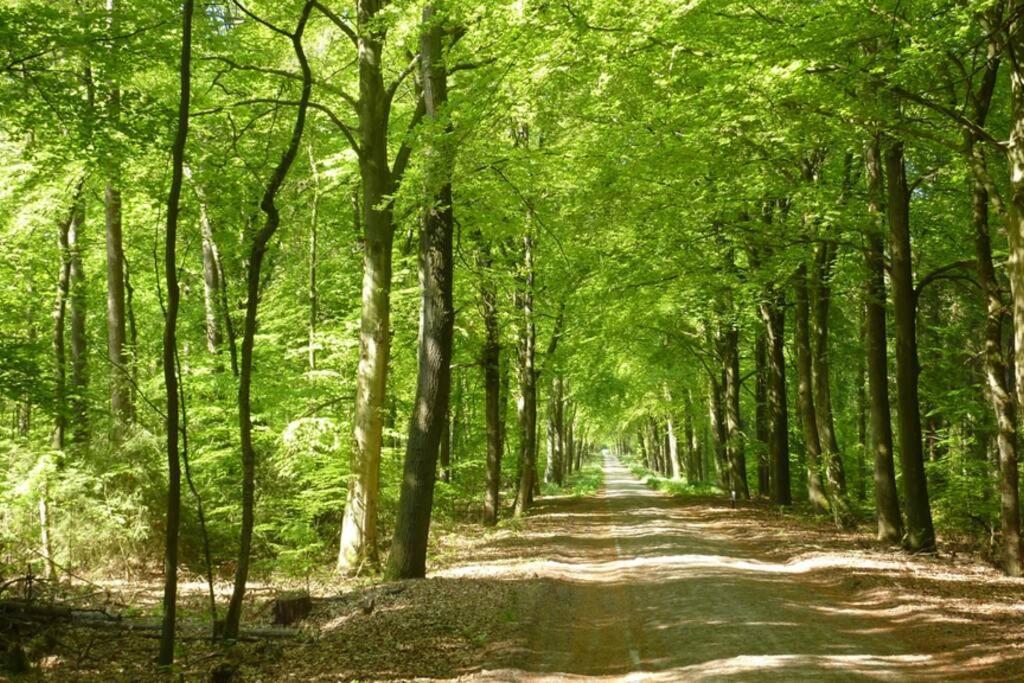 Sfeervolle Villa In Gasselte Drenthe Bij Hemelriek المظهر الخارجي الصورة